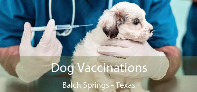 Dog Vaccinations Balch Springs - Texas