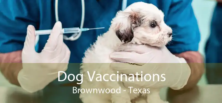 Dog Vaccinations Brownwood - Texas