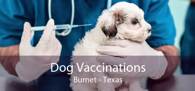 Dog Vaccinations Burnet - Texas