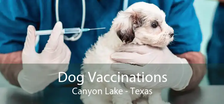 Dog Vaccinations Canyon Lake - Texas
