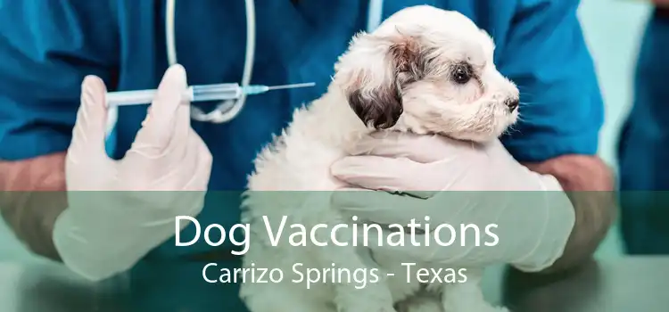 Dog Vaccinations Carrizo Springs - Texas