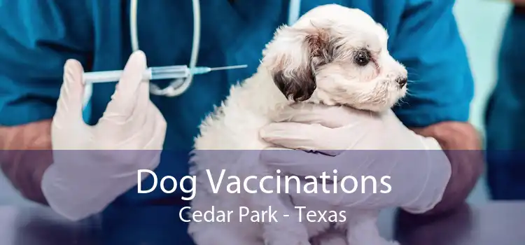 Dog Vaccinations Cedar Park - Texas