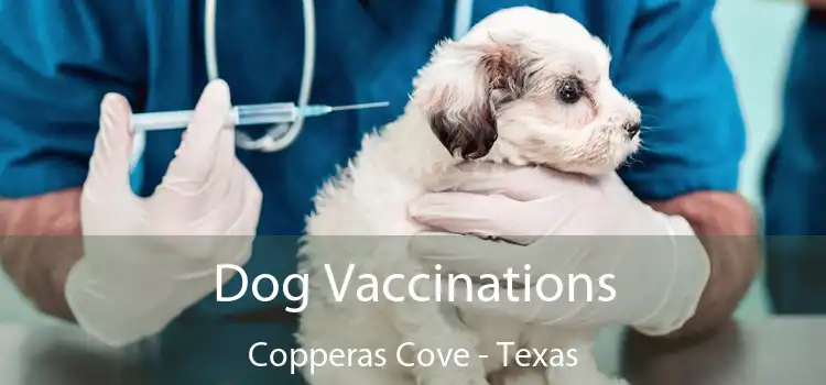 Dog Vaccinations Copperas Cove - Texas