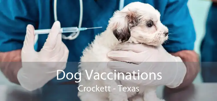 Dog Vaccinations Crockett - Texas