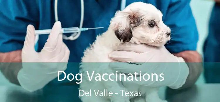 Dog Vaccinations Del Valle - Texas
