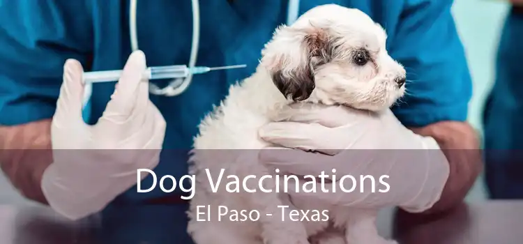 Dog Vaccinations El Paso - Texas