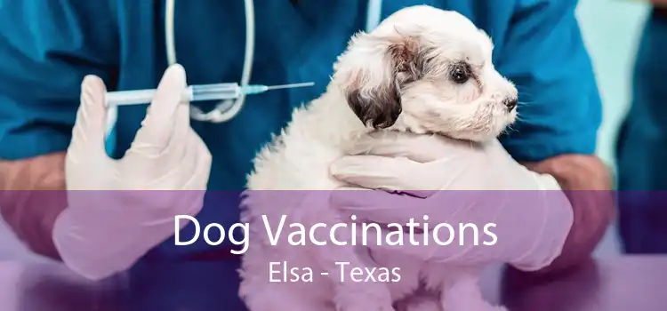 Dog Vaccinations Elsa - Texas