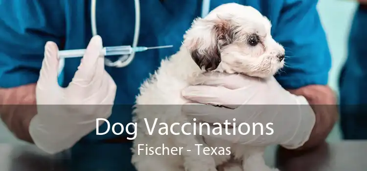Dog Vaccinations Fischer - Texas