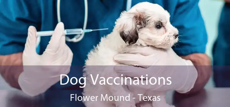 Dog Vaccinations Flower Mound - Texas