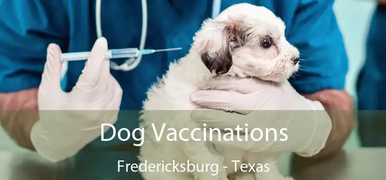 Dog Vaccinations Fredericksburg - Texas