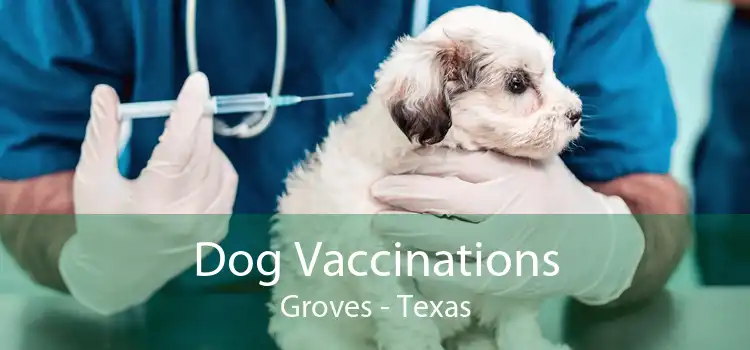 Dog Vaccinations Groves - Texas