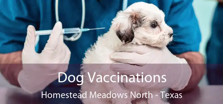 Dog Vaccinations Homestead Meadows North - Texas