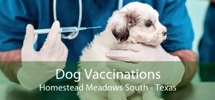 Dog Vaccinations Homestead Meadows South - Texas