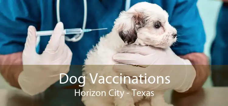 Dog Vaccinations Horizon City - Texas