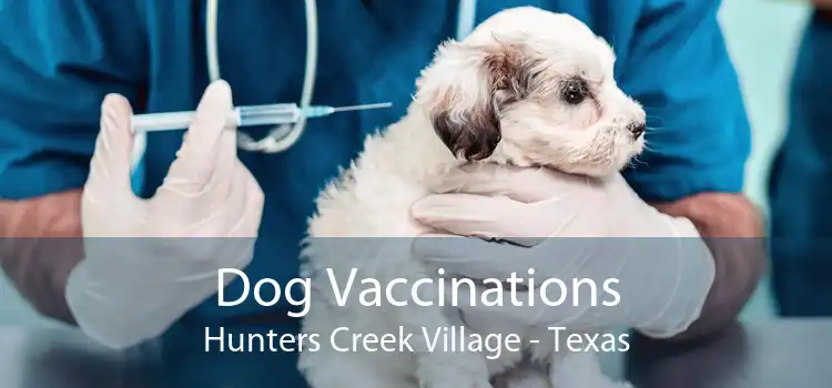 Dog Vaccinations Hunters Creek Village - Texas