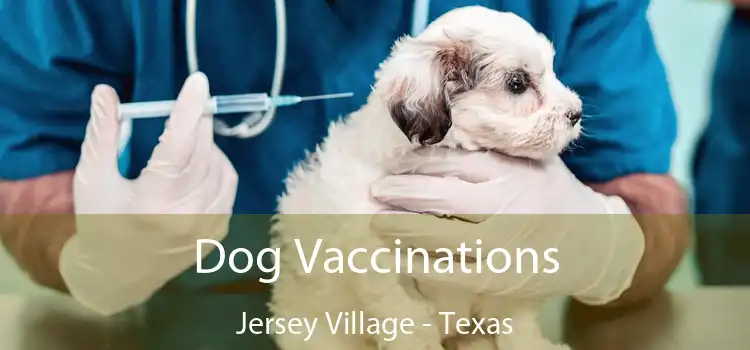 Dog Vaccinations Jersey Village - Texas
