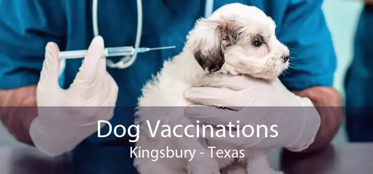 Dog Vaccinations Kingsbury - Texas