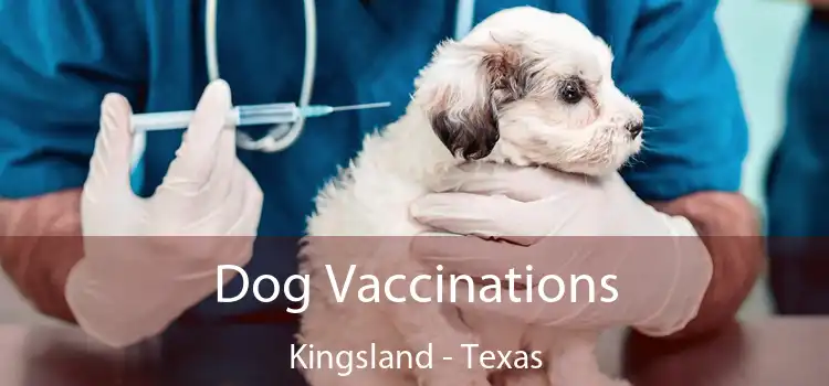Dog Vaccinations Kingsland - Texas