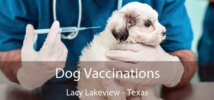 Dog Vaccinations Lacy Lakeview - Texas