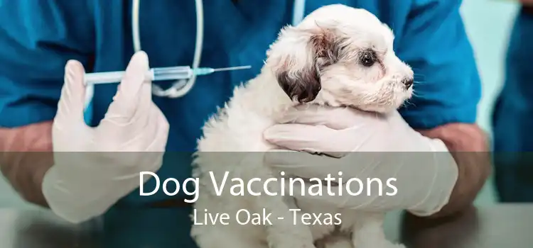 Dog Vaccinations Live Oak - Texas