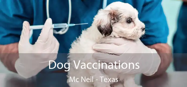 Dog Vaccinations Mc Neil - Texas