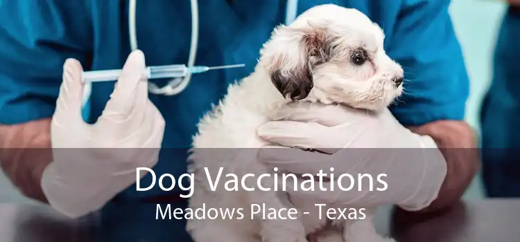 Dog Vaccinations Meadows Place - Texas