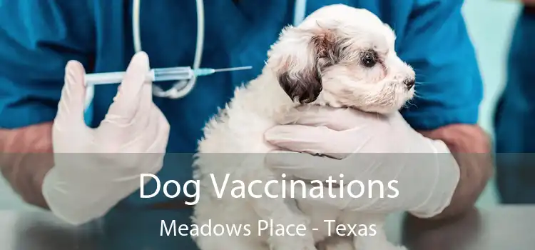 Dog Vaccinations Meadows Place - Texas
