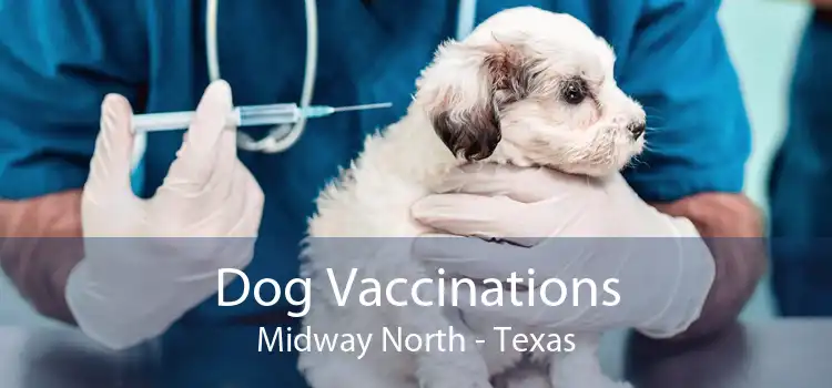 Dog Vaccinations Midway North - Texas