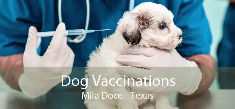 Dog Vaccinations Mila Doce - Texas