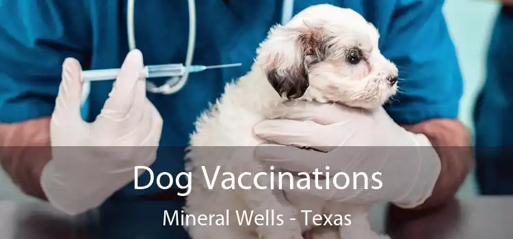 Dog Vaccinations Mineral Wells - Texas