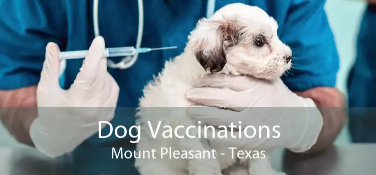 Dog Vaccinations Mount Pleasant - Texas