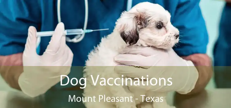 Dog Vaccinations Mount Pleasant - Texas