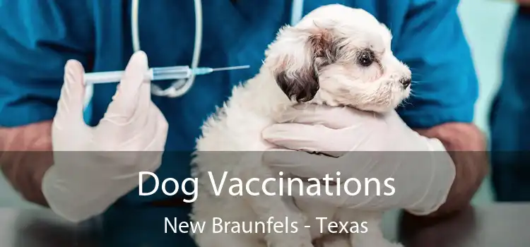 Dog Vaccinations New Braunfels - Texas