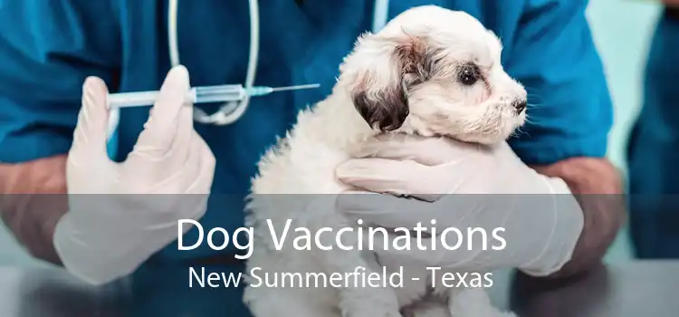 Dog Vaccinations New Summerfield - Texas