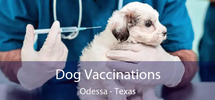 Dog Vaccinations Odessa - Texas