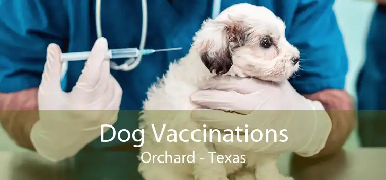 Dog Vaccinations Orchard - Texas