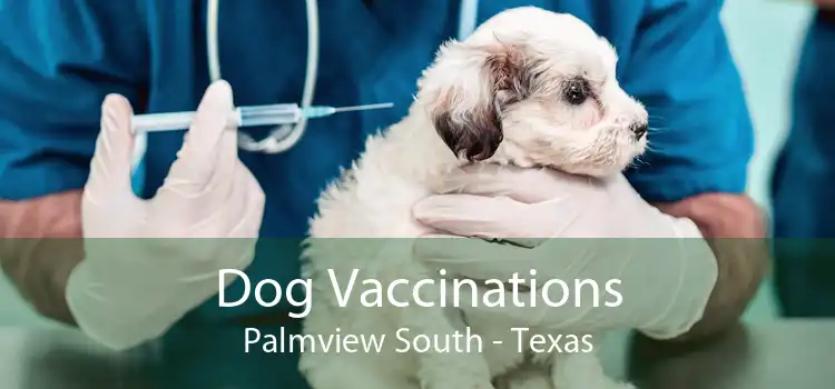 Dog Vaccinations Palmview South - Texas