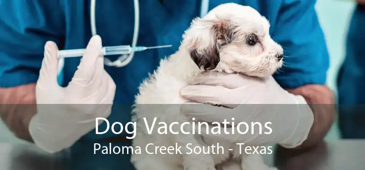 Dog Vaccinations Paloma Creek South - Texas