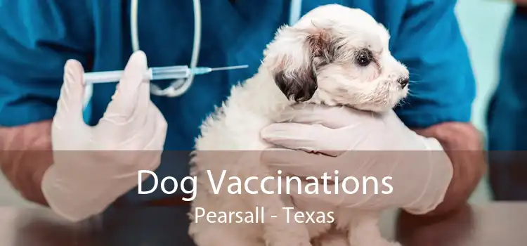 Dog Vaccinations Pearsall - Texas