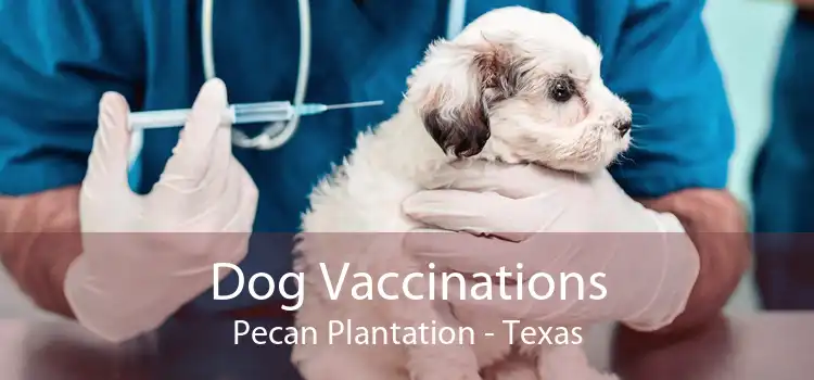 Dog Vaccinations Pecan Plantation - Texas