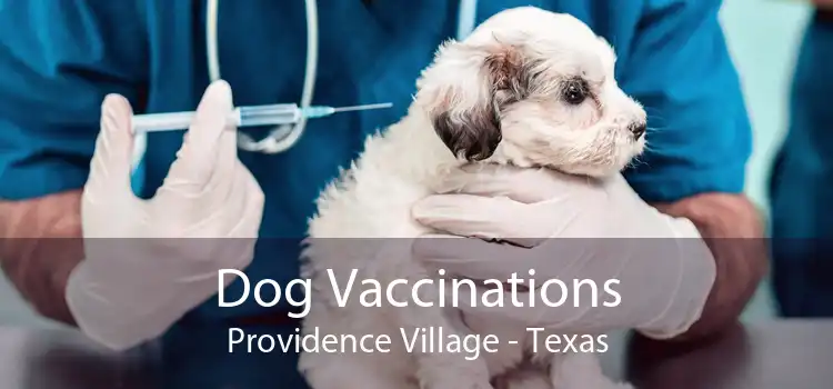 Dog Vaccinations Providence Village - Texas