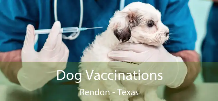 Dog Vaccinations Rendon - Texas