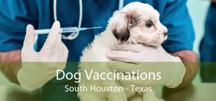 Dog Vaccinations South Houston - Texas