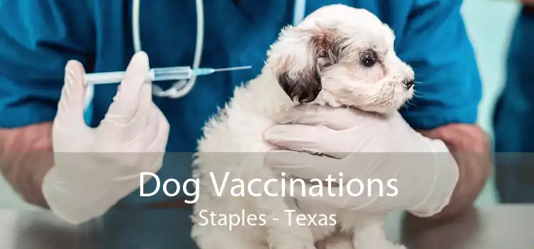 Dog Vaccinations Staples - Texas