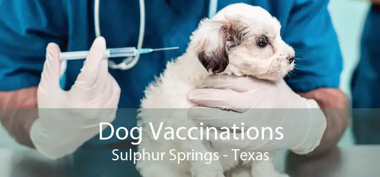 Dog Vaccinations Sulphur Springs - Texas