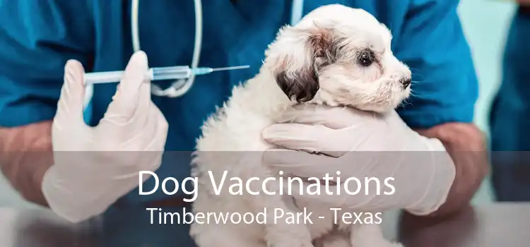 Dog Vaccinations Timberwood Park - Texas