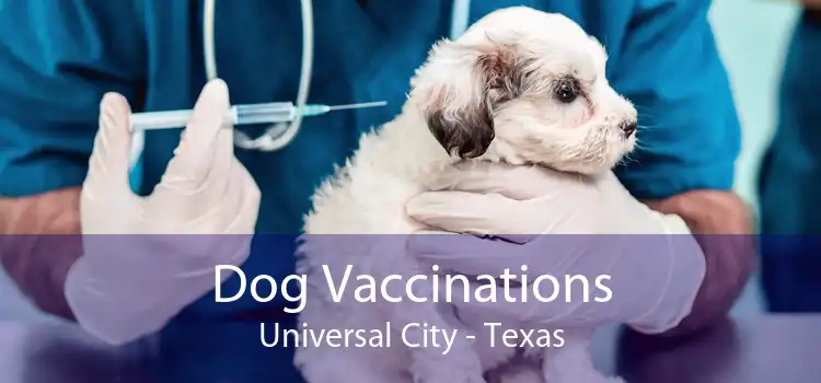 Dog Vaccinations Universal City - Texas