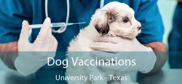 Dog Vaccinations University Park - Texas