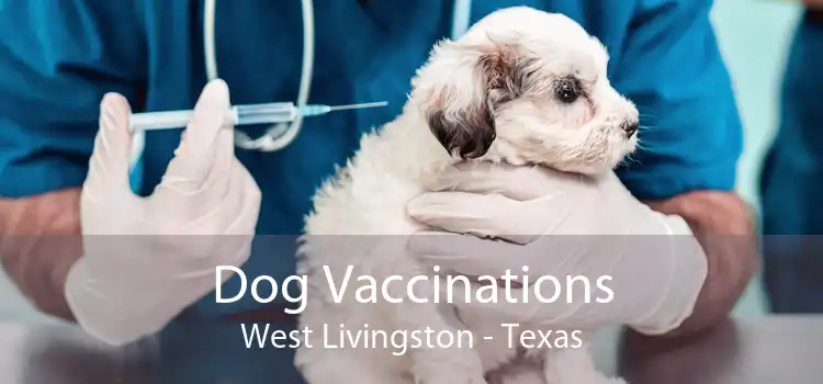Dog Vaccinations West Livingston - Texas