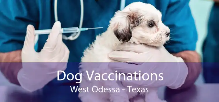 Dog Vaccinations West Odessa - Texas